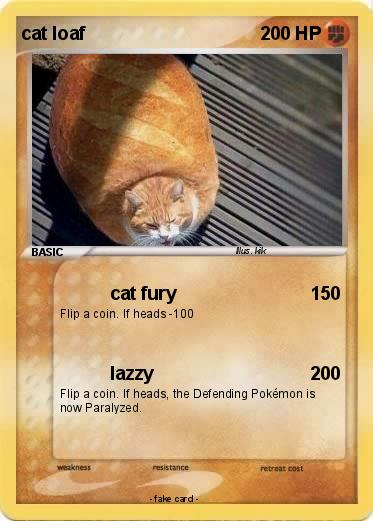 Pokemon cat loaf