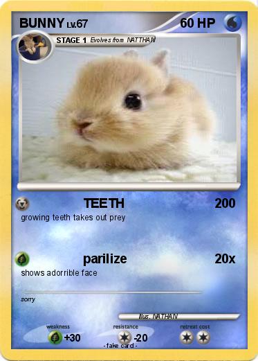 Pokemon BUNNY