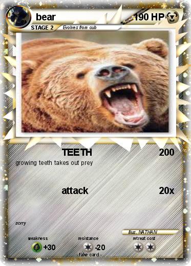 Pokemon bear