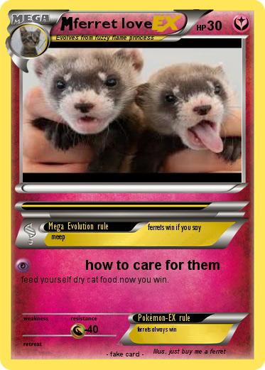 Pokemon ferret love