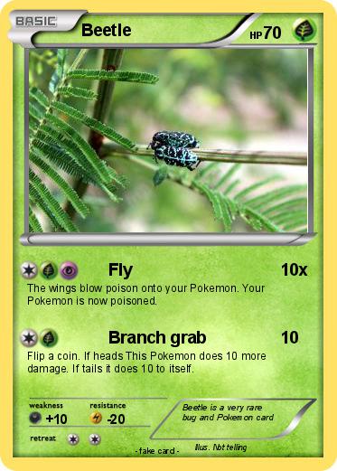 Pokemon Beetle