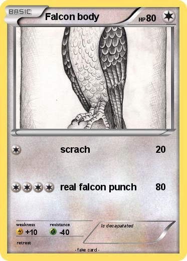 Pokemon Falcon body