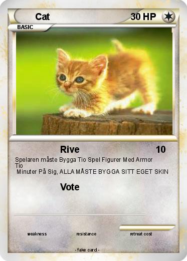 Pokemon Cat
