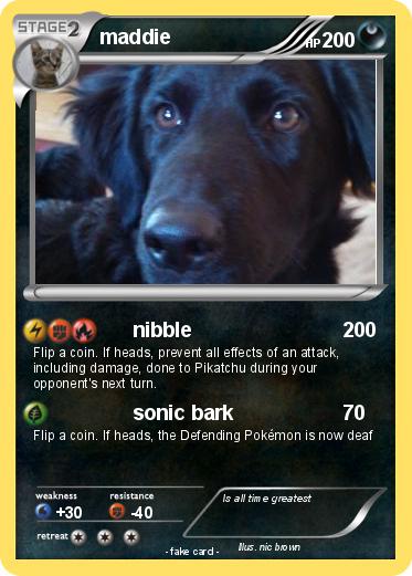 Pokemon maddie