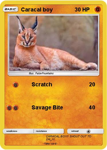 Pokemon Caracal boy