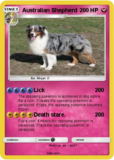 Pokemon Australian Shepherd
