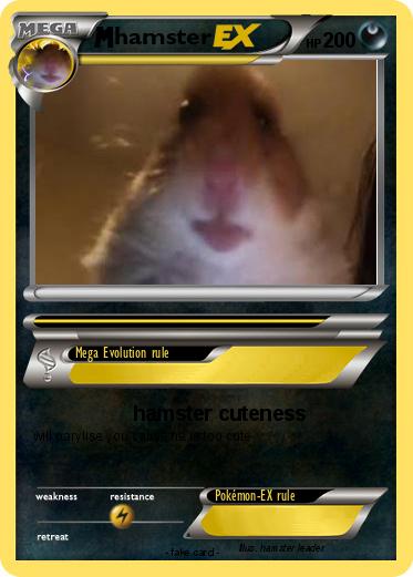Pokemon hamster