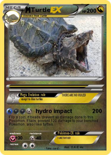 Pokemon Turtle