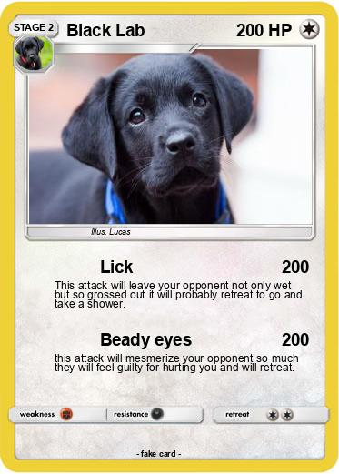 Pokemon Black Lab