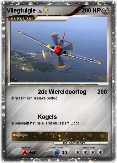 Pokemon Vliegtuigie