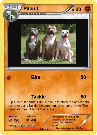 Pokemon Pitbull