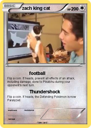 Pokemon zach king cat