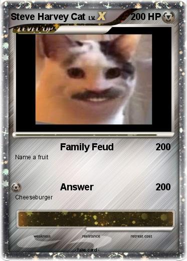 Pokemon Steve Harvey Cat