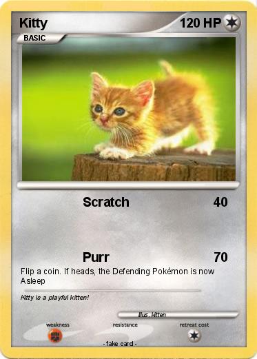 Pokemon Kitty