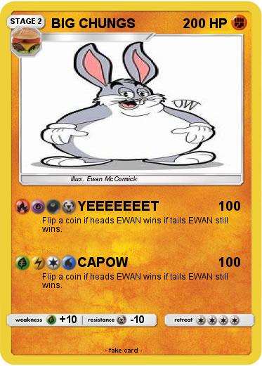 Pokemon BIG CHUNGS