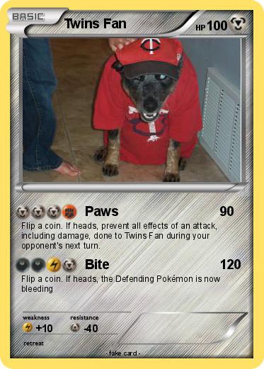 Pokemon Twins Fan