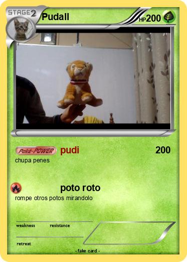 Pokemon Pudall