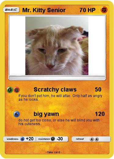 Pokemon Mr. Kitty Senior