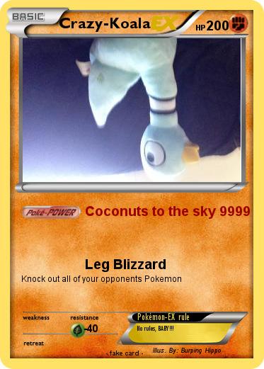 Pokemon Crazy-Koala