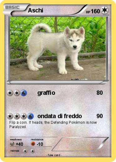 Pokemon Aschi