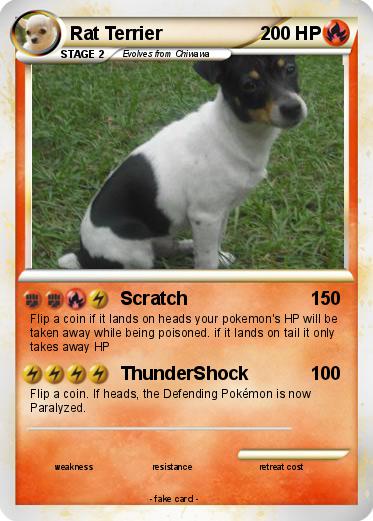 Pokemon Rat Terrier