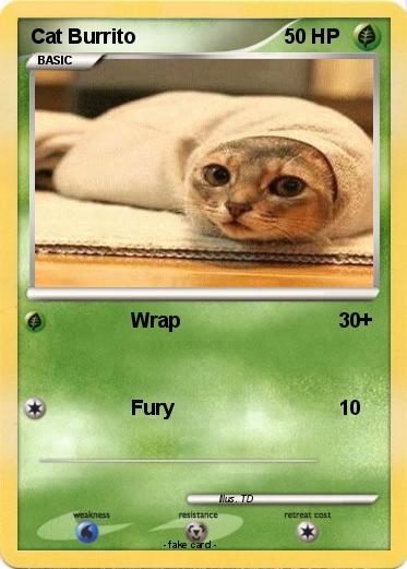 Pokemon Cat Burrito