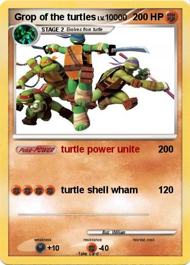 Pokemon Grop of the turtles