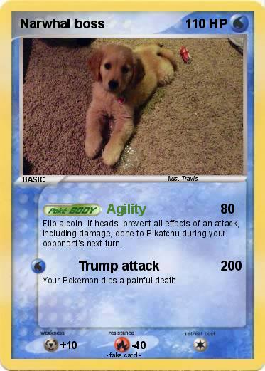 Pokemon Narwhal boss