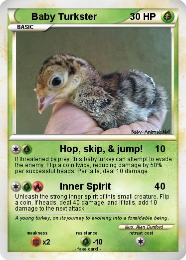 Pokemon Baby Turkster