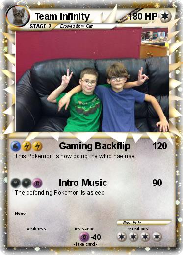 Pokemon Team Infinity