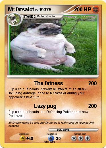 Pokemon Mr.fatsalot