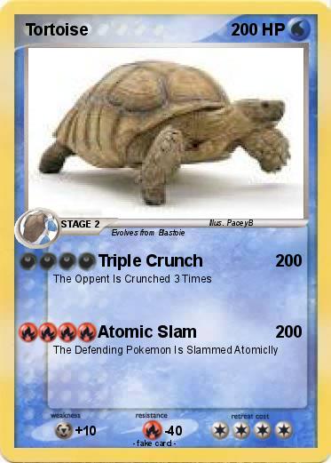 Pokemon Tortoise