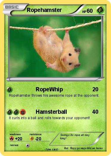Pokemon Ropehamster
