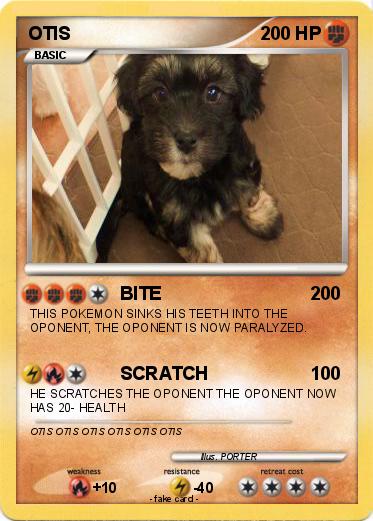 Pokemon OTIS