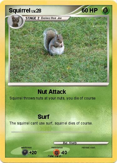 Pokemon Squirrel