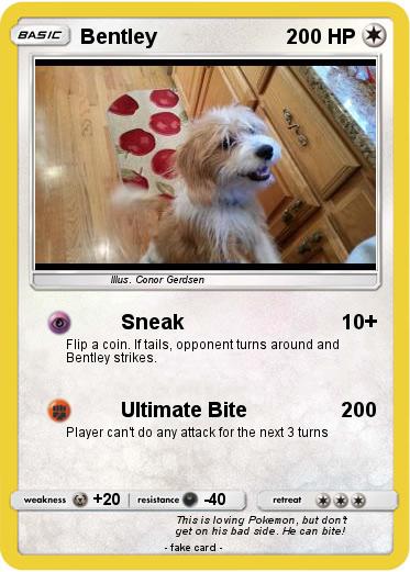 Pokemon Bentley
