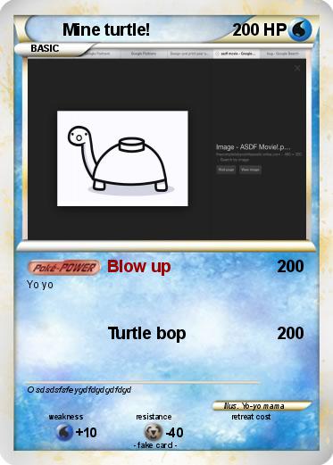 Pokemon Mine turtle!