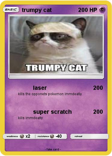 Pokemon trumpy cat