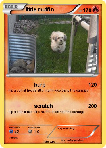 Pokemon little muffin