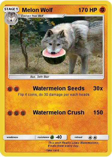 Pokemon Melon Wolf