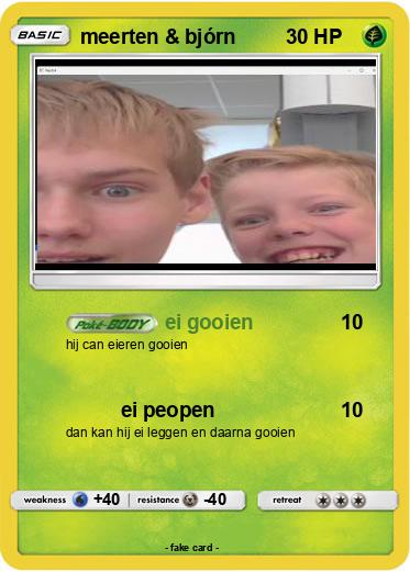 Pokemon meerten & bjórn