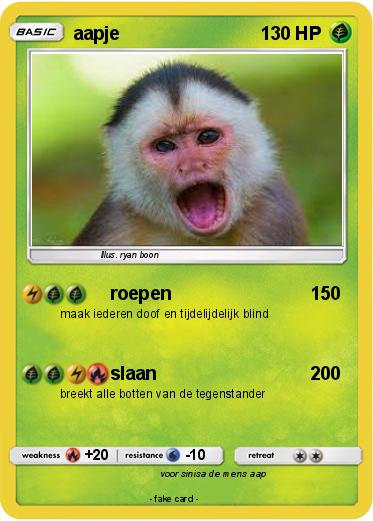 Pokemon aapje