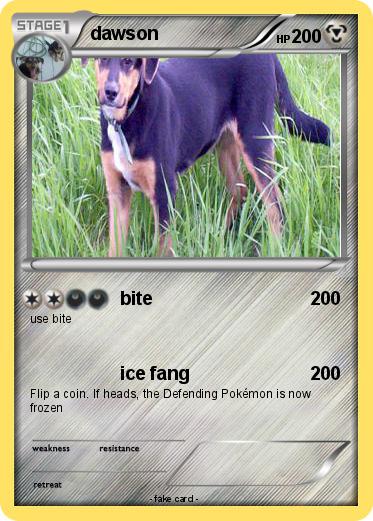 Pokemon dawson