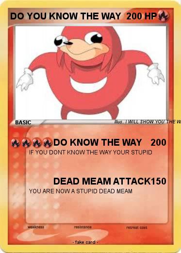 Pokemon DO YOU KNOW THE WAY