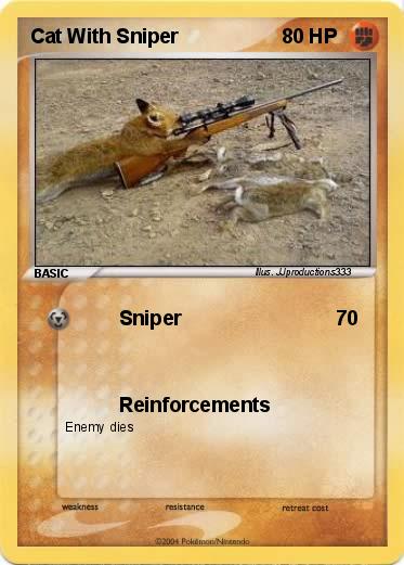 Pokemon Cat With Sniper