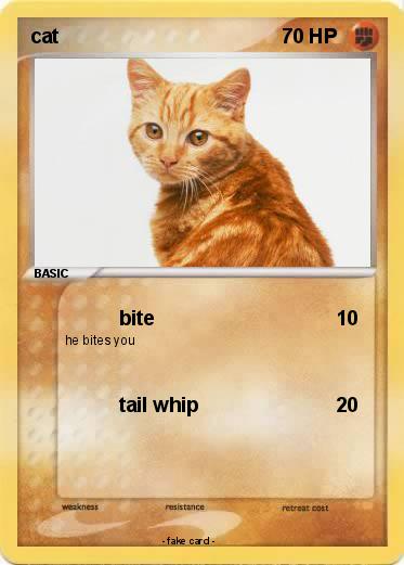 Pokemon cat