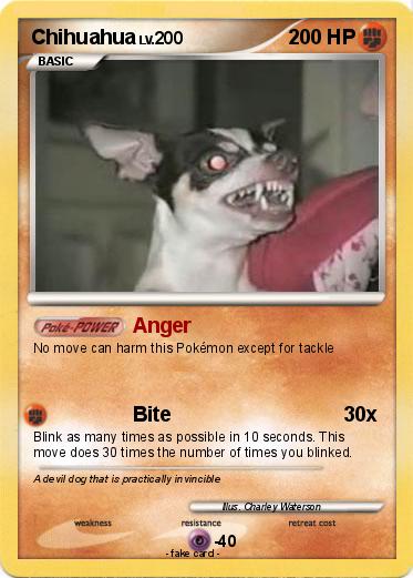 Pokemon Chihuahua