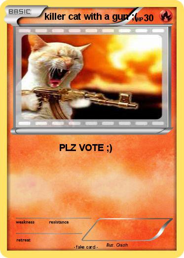 Pokemon killer cat with a gun ;(