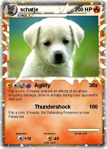 Pokemon schatje