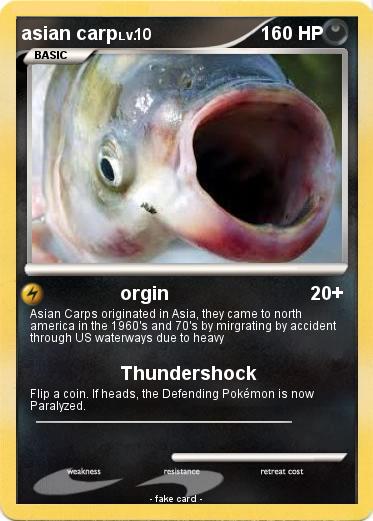 Pokemon asian carp